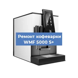Декальцинация   кофемашины WMF 5000 S+ в Ростове-на-Дону